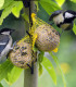 Lojové koule s bílkovinou - Krmítko - potrava pro ptactvo - 4 ks