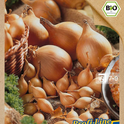 BIO Cibule sazečka Setton - Allium cepa - bio cibulky sazečky - 40 ks