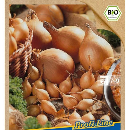 BIO Cibule sazečka Setton - Allium cepa - bio cibulky sazečky - 40 ks