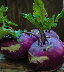 Kedluben raný modrý - Brassica oleracea - osivo kedlubny - 50 ks