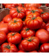 Rajče Costoluto Fiorentino - Solanum lycopersicum - osivo rajčat -7 ks