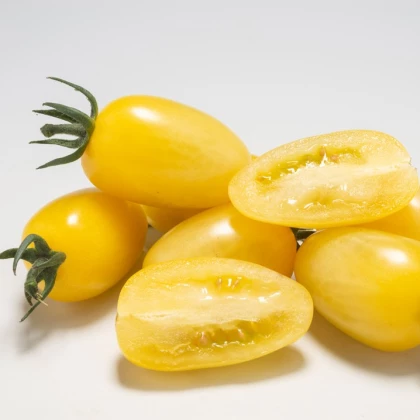Rajče Dattolime F1 - Solanum lycopersicum - osivo rajčat - 6 ks