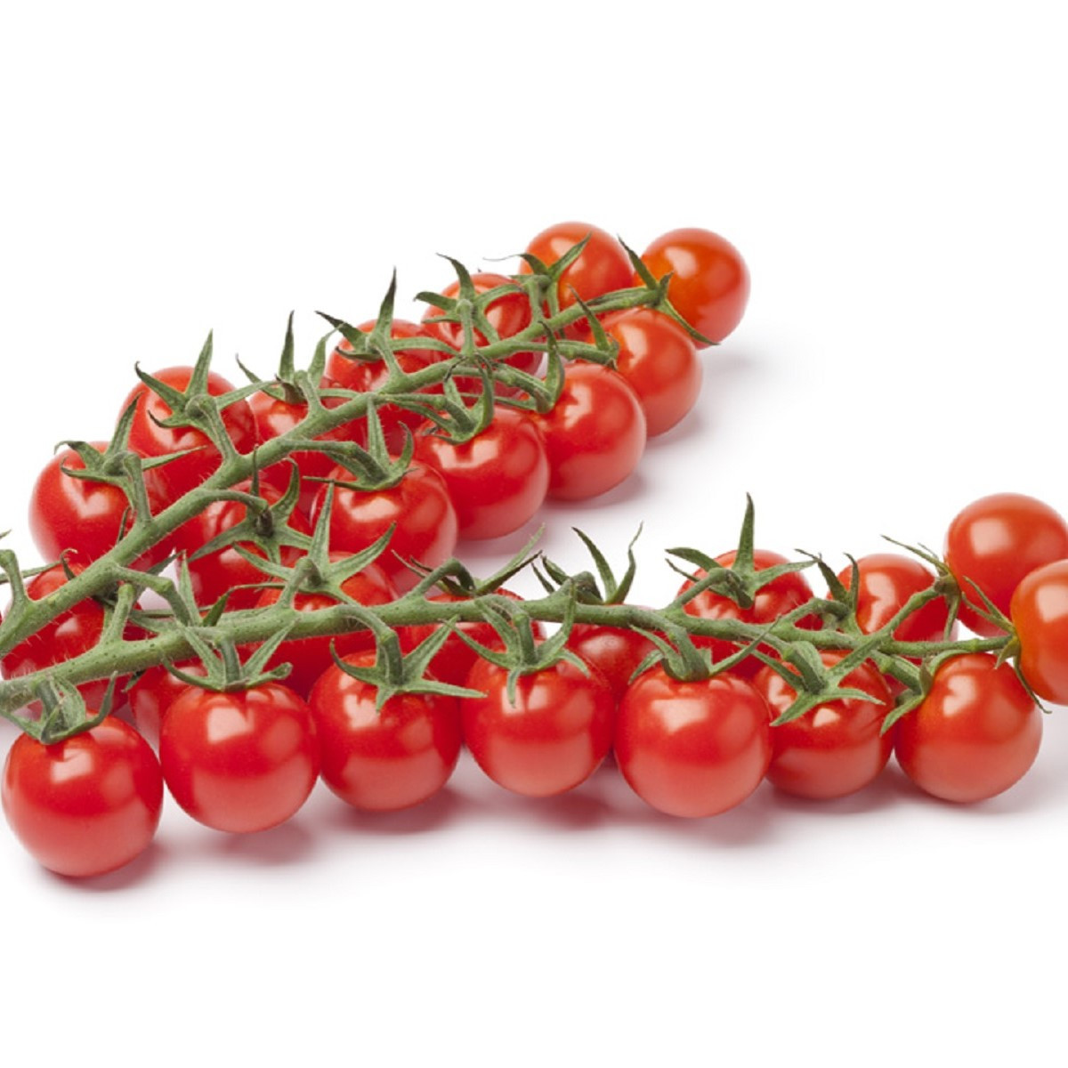 Rajče Gourmelito F1 - Solanum lycopersicum - osivo rajčat - 6 ks