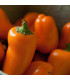 Paprika Snacking Orange - Capsicum anuum - osivo papriky - 5 ks