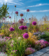 Střešní zahrada - osivo Planta Naturalis - směs lučních květin a trav - 40 g