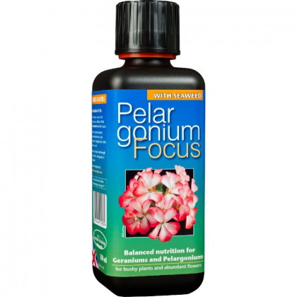Hnojivo pro muškáty - Pelargonium focus - 300 ml