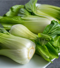 Pak Choi Hanakan F1 - Brassica rapa var rosularis - osivo pak choi - 70 ks