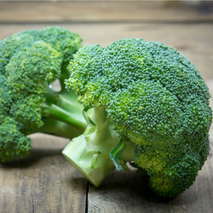 Brokolice Green Magic F1 - Brassica oleracea L. - prodej semen brokolice - 20 Ks