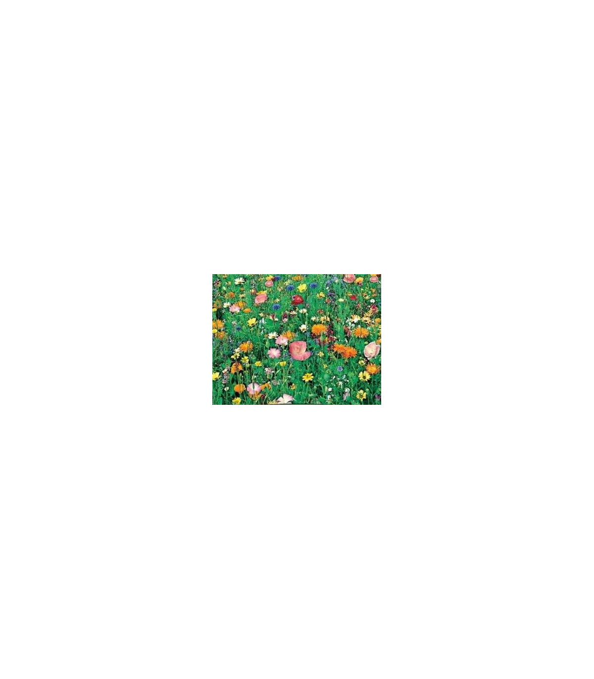 Letničky Japonská zahrada - směs - osivo letniček - 0,9 g