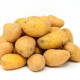 Sadbové brambory Sunshine - Solanum tuberosum - sadba - 5 kg