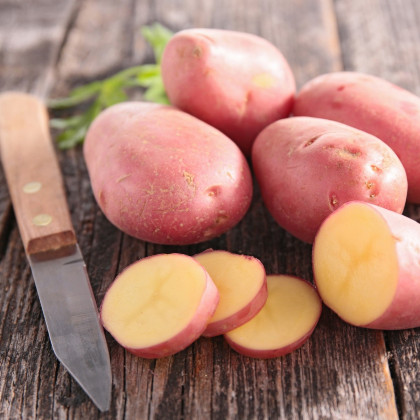 BIO Sadbové brambory Laura - Solanum tuberosum - Kiepenkerl - bio sadba - 10 ks